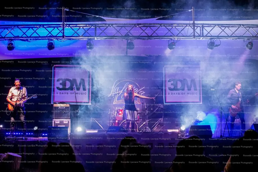 🎸✨ Happy New Year from The Lizards!✨🎸